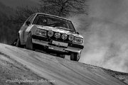 adac-osterrallye-msc-zerf-2013-rallyelive.de.vu-9419.jpg